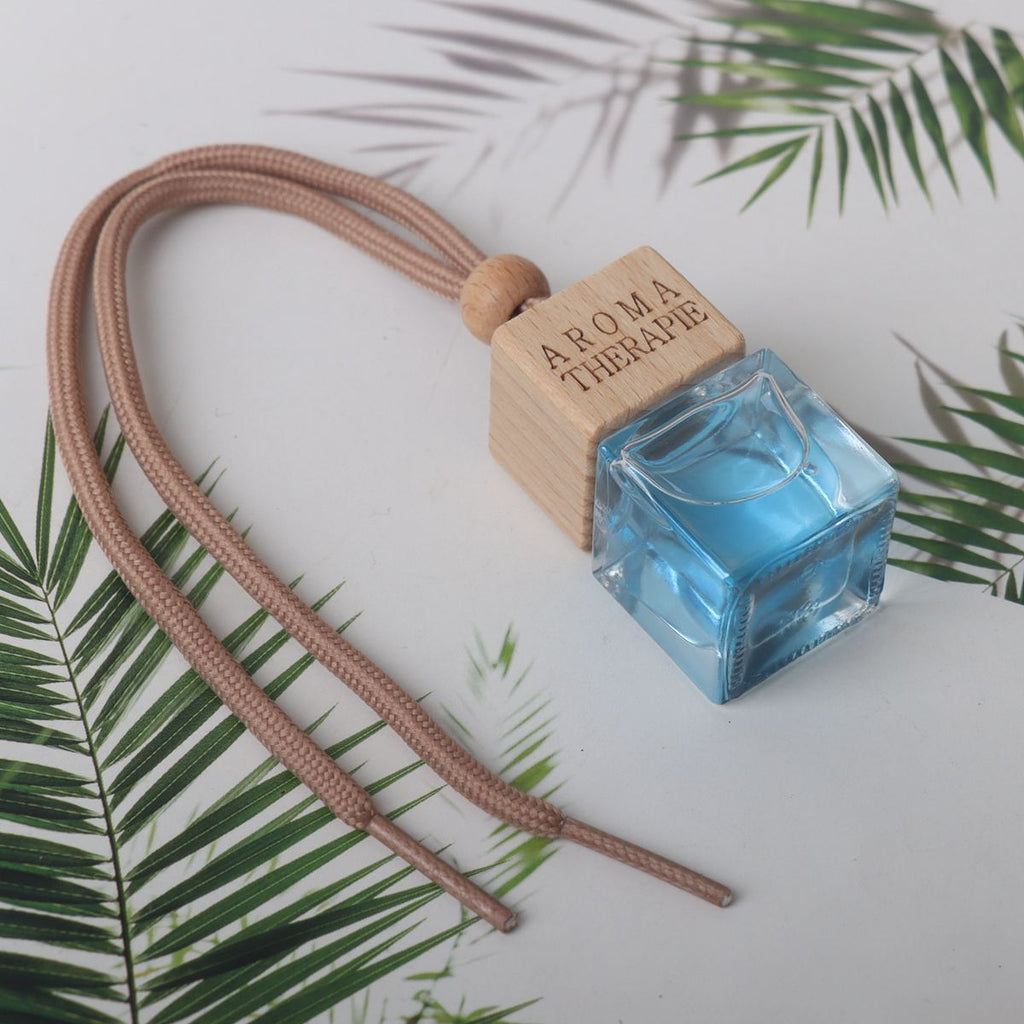 10ml Luxury Hanging Car Air Freshener Perfume – Long Lasting Fragrance